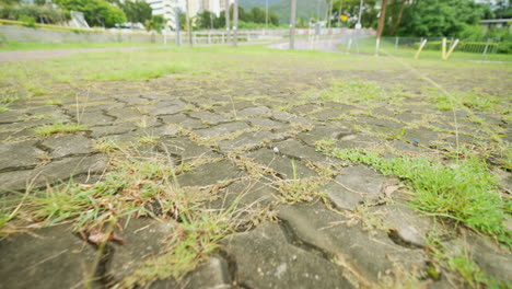 Low-Level-Exploration:-Pov-Shot-Gliding-over-Grass-and-Pavement-in-Slow-Motion