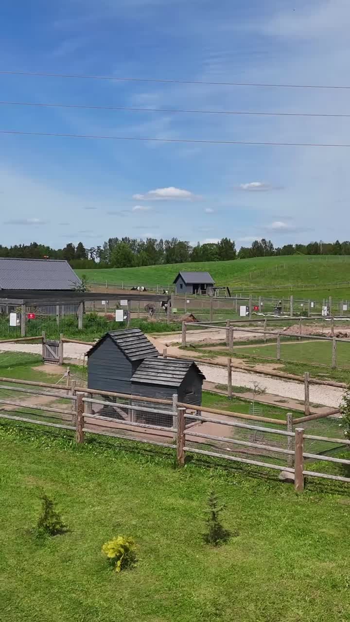 Vertical View Of Enclosures Over Zoo Park With Rural Nature Background. Aerial Drone Shot