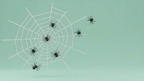 a captivating display of intricate spider webs featuring multiple black spiders against a soft mint green background, capturing the mystique of these arachnids in nature