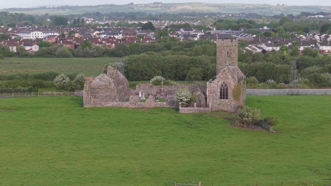 Ruins of Clare Abbey with surrounding greenery, showcasing historical architecture in Ireland
