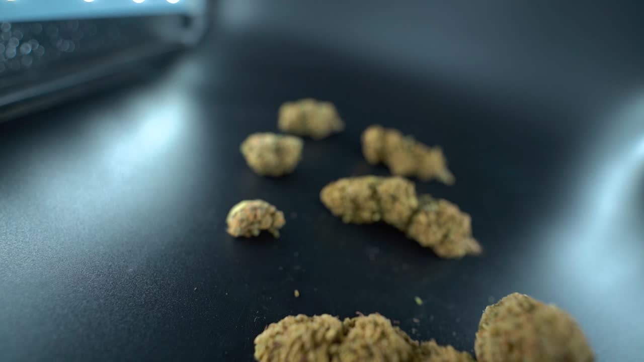 A close up detailed crane flying shot of a cannabis plant, marijuana flower hybrid strains, Indica and sativa, 120 fps slow motion Full HD, cinematic studio lighting, LED lights