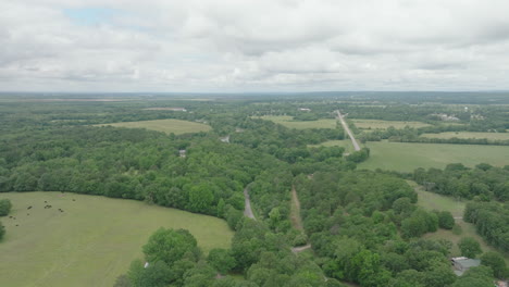 Vista-Pintoresca-Del-Campo-Con-Densos-árboles-Y-Camino-En-Mulberry,-Arkansas,-Estados-Unidos