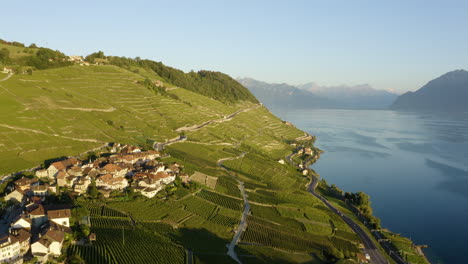 vista aérea de las casas locales en el pueblo de epesses rodeado de viñedos verdes en suiza