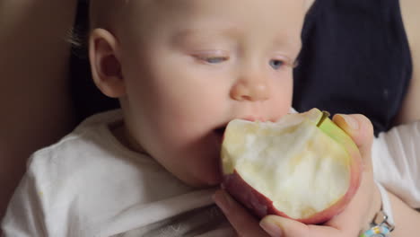 one year old baby eating apple