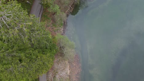 Glimpse-of-the-lake-and-trees-alongside