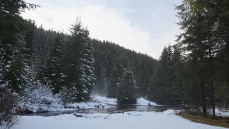 time-lapse of a calm mountain river flowing through fir forests in the winter season, with a touch of fog and sunlight