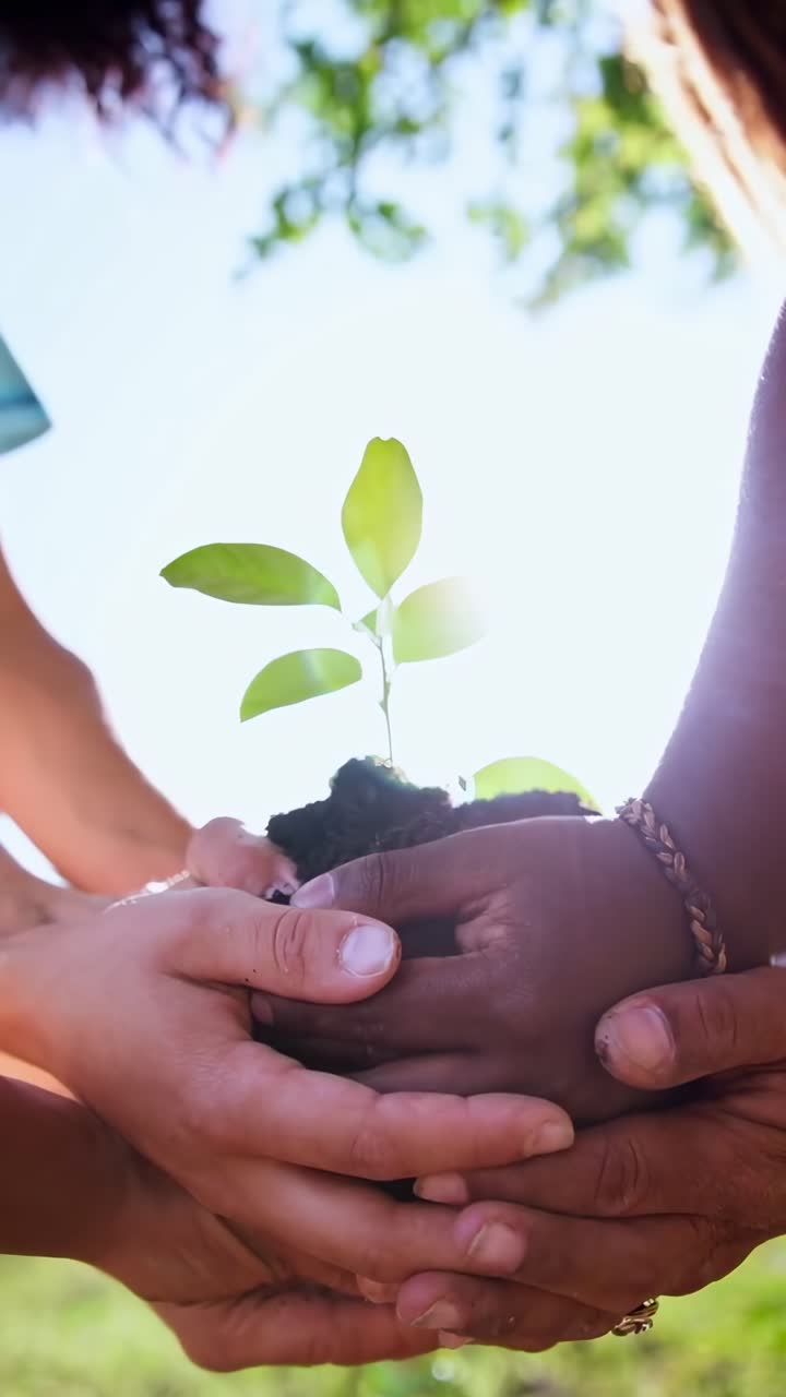 Close-up video angle of diverse hands holding a small plant, symbolizing growth and unity