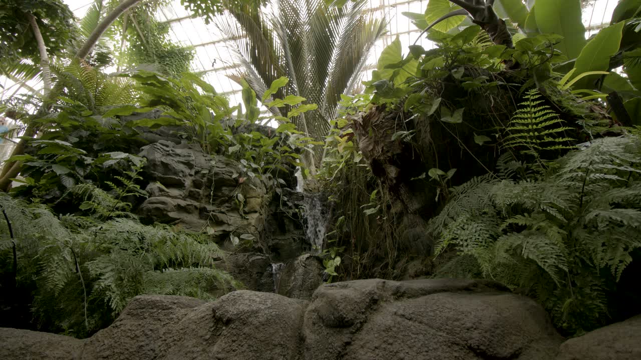 Indoor water feature surrounded by lush greenery and rocks.
