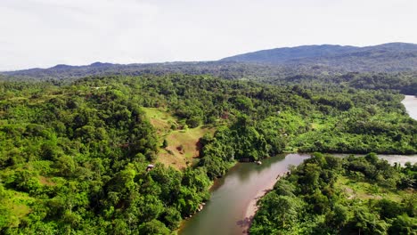 tropical forest and river