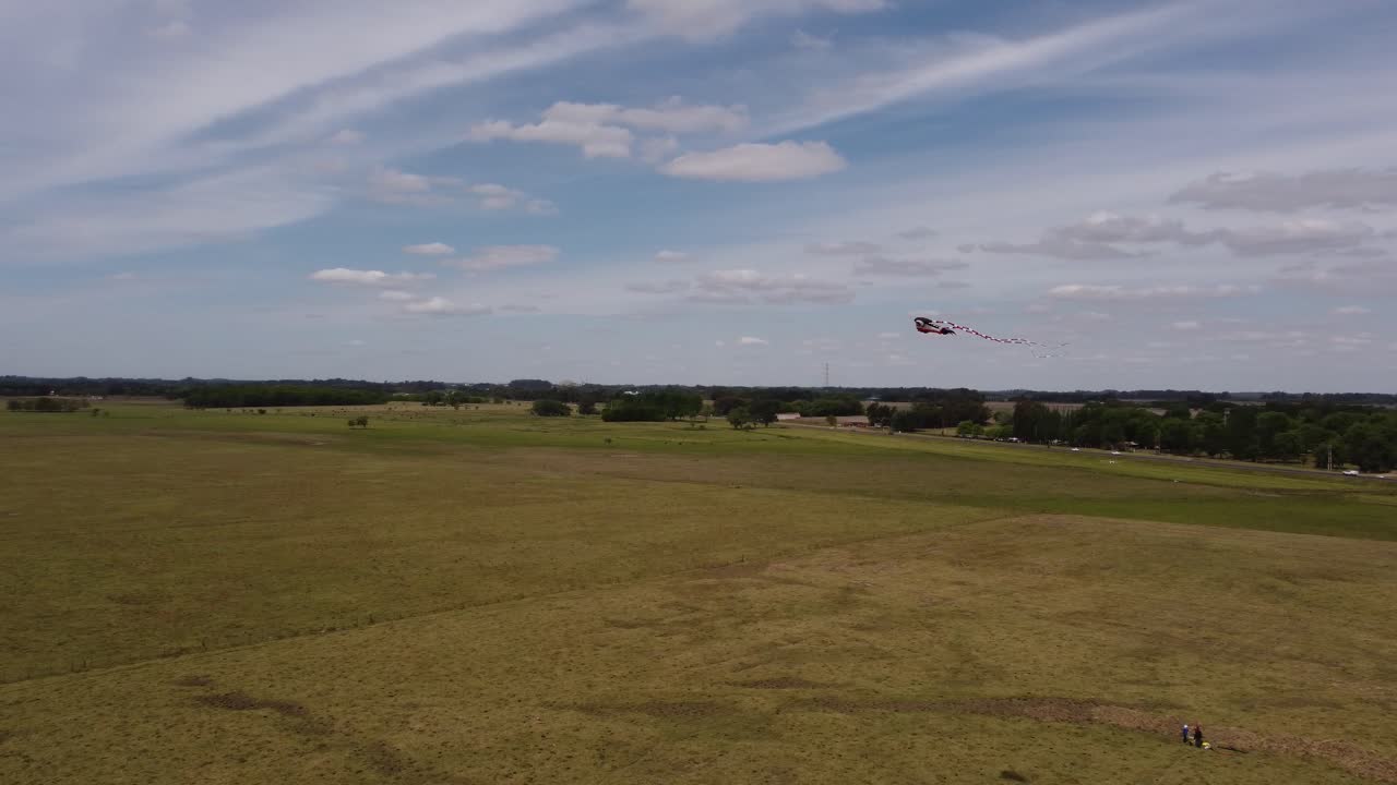 vista aérea de una cometa con forma de raya volando sobre campo abierto