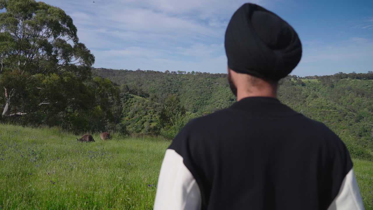 Indian Sikh Man Looking At Kangaroos In Grass Field - medium