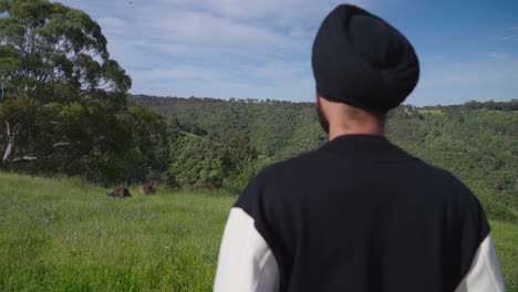 indian sikh man looking at kangaroos in grass field - medium