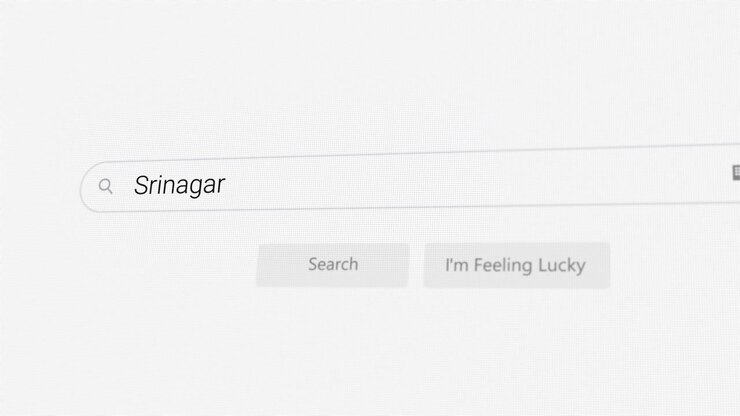 Ricerca di Srinagar sul browser Internet