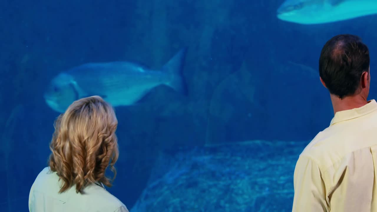 물고기  ⁇ 크 를 보는 행복 한 가족