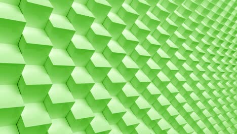 pared de fondo con bucle verde