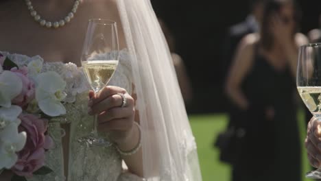 wedding couple toast with champagne 50p