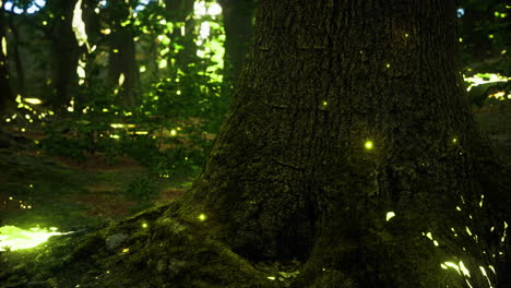 majestic forest with glowing lights illuminating tree trunk at dusk