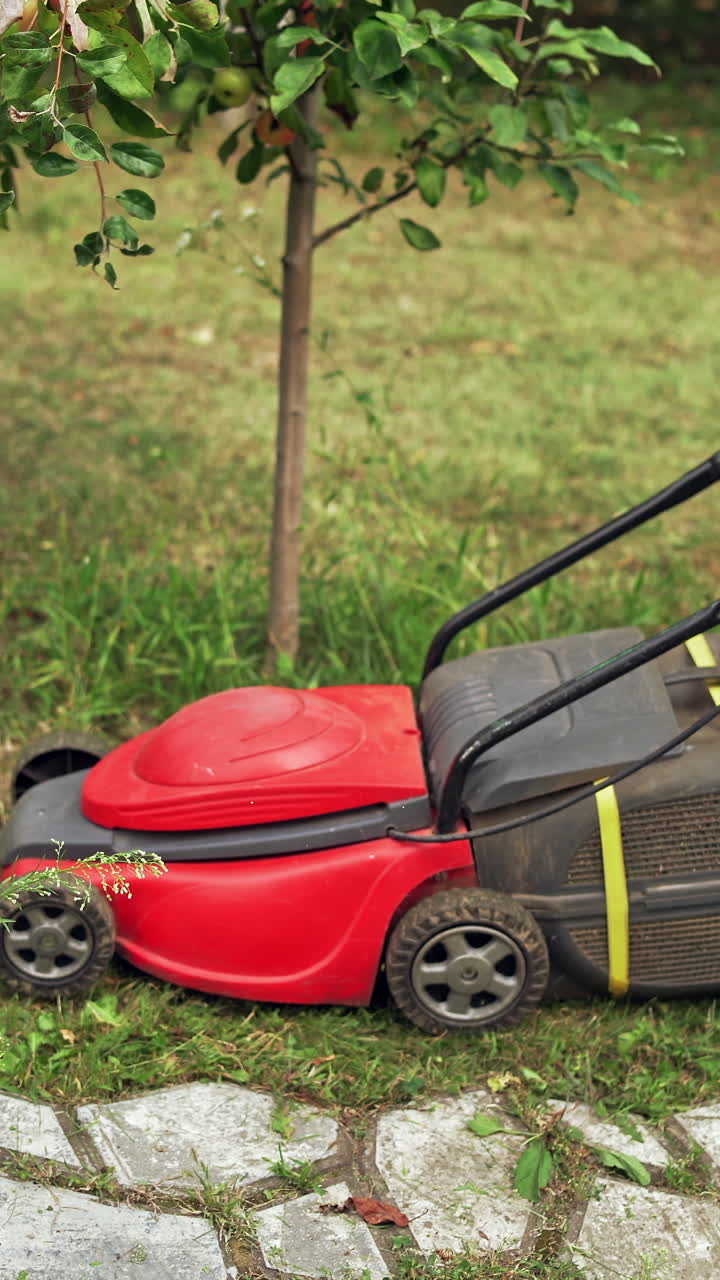 Garden meadow lawn cutting. Lawn mower cutting green grass in backyard