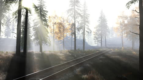 Leere-Eisenbahn-Fährt-Morgens-Durch-Nebligen-Wald