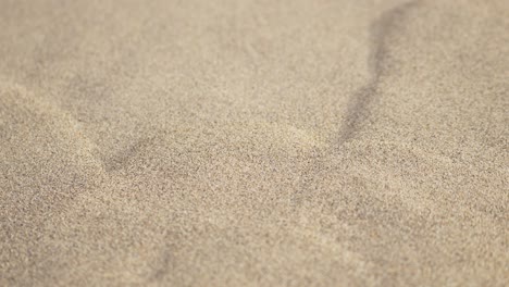 sand falling down dune in desert