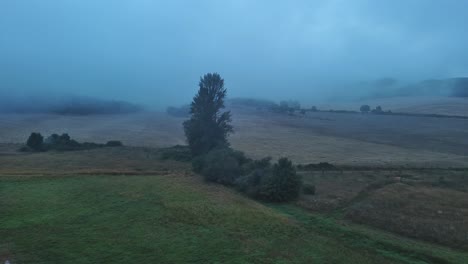 Misty-morning-over-Nanclares-de-Gamboa-with-a-lone-tree-standing-among-fields,-Basque-Country,-aerial-view