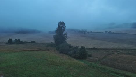 mañana brumosa sobre nanclares de gamboa con un árbol solitario de pie entre los campos, país vasco, vista aérea