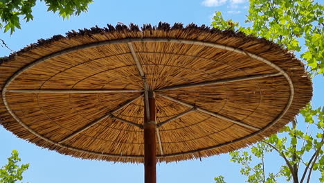 Under-the-reed-straw-beach-umbrella-and-trees-on-a-sunny-day