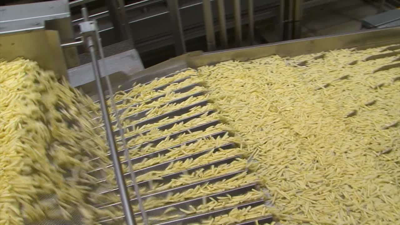 French fries fly through the sorting machine