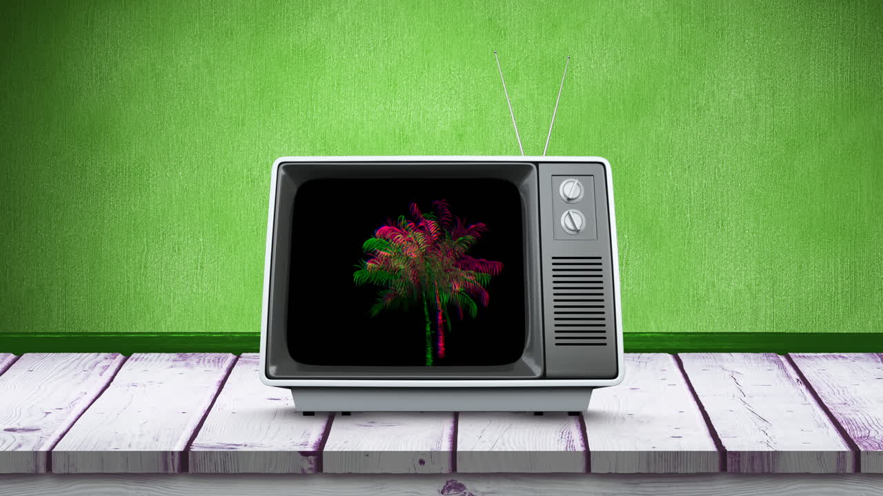 palmera y vieja televisión 4k