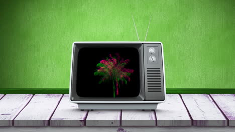 palm tree and old television 4k