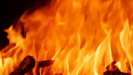 fuego de leña