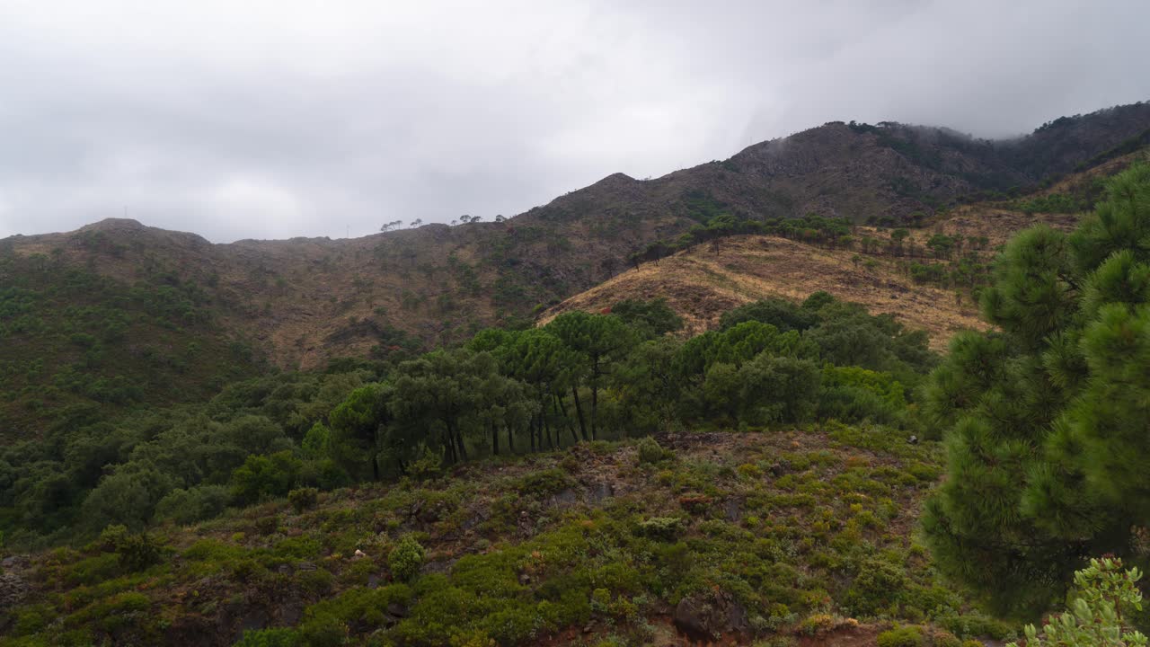 nubes rodantes sobre el paisaje montañoso forestal de españa, lapso de tiempo