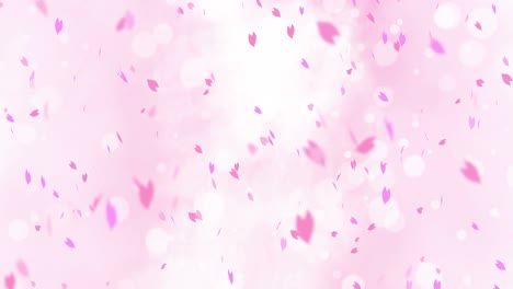 colorful bright petals swinging in spring background with sun flares. beautiful nature scene. illustration cherry blossom petals. abstract spring graphic. loop animation.