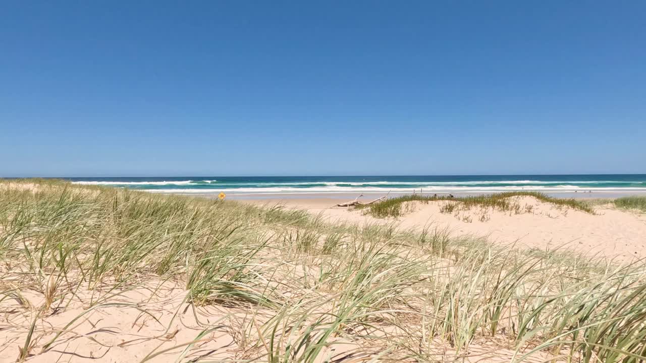 은 파란 하늘을 배경으로 잔디로 된 모래 언덕의 타임 스