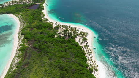 costa bordeada de palmeras con una cautivadora playa tropical en la isla de cayo sombrero en morrocoy, venezuela
