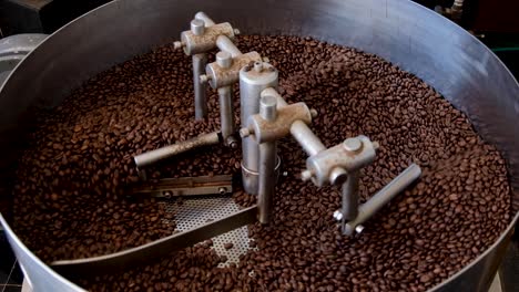 industrial professional coffee roaster with freshly roasted, aromatic and golden brown coffee beans cooling in turning tray at local coffee shop