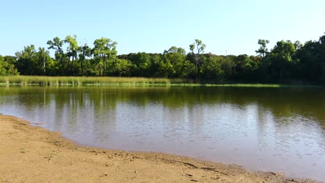 Vídeo-Estático-De-Una-Zona-De-Baño-En-Cedar-Lake-En-El-Parque-Estatal-Cleburne-En-Texas