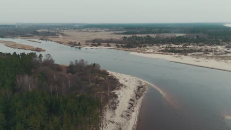 Toma-Aérea-El-Río-Gauja-Desemboca-En-El-Mar-Báltico-Golfo-De-Riga,-Letonia-Pinos-Rotos-Después-De-La-Tormenta-Y-La-Orilla-Arrastrada