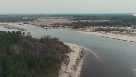aerial shot gauja river flows into the baltic sea gulf of riga, latvia broken pines after storm and washed up shore