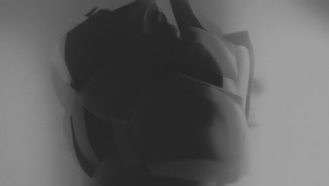 broken mannequin head shells in xray
