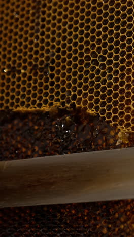 electric knife sliding easily by the honey combs. man uncovers sealed wax cells for easier honey extraction in machine. close up. vertical video