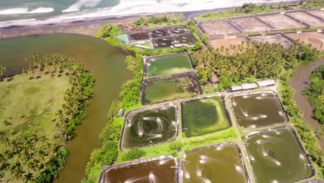 shrimp farming ponds next to river on bali coastline, indonesia