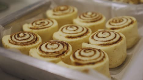 baking tray with parchment paper full of cinnamon rolls