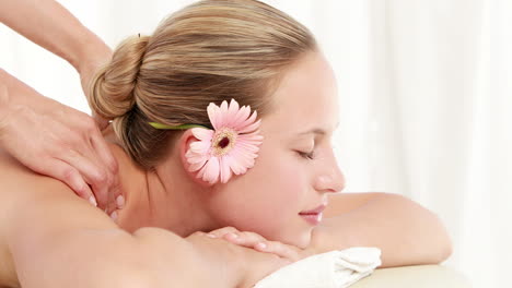 masseuse massaging her client shoulder
