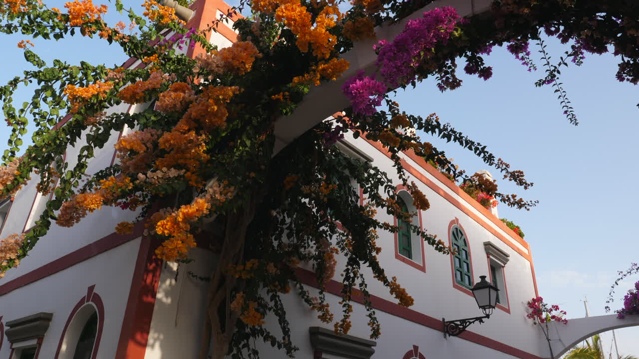 Traditional white building covered in blooming orange and purple bougainvillea in Mogan port, Gran Canaria