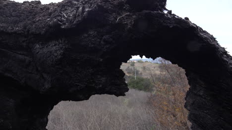 Looking-Through-the-Hole-in-the-Old-Tree