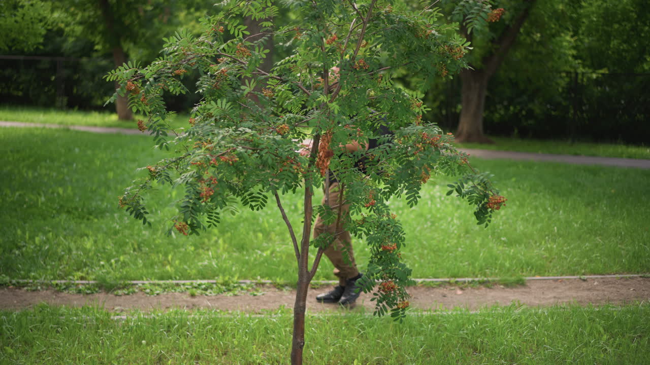Individuals Enjoying Walks Outdoors, Persons Ambling Through Green Park With Music And Backpacks, Individuals Leisurely Exploring Park Surroundings While Listening To Music And Adjusting Gear
