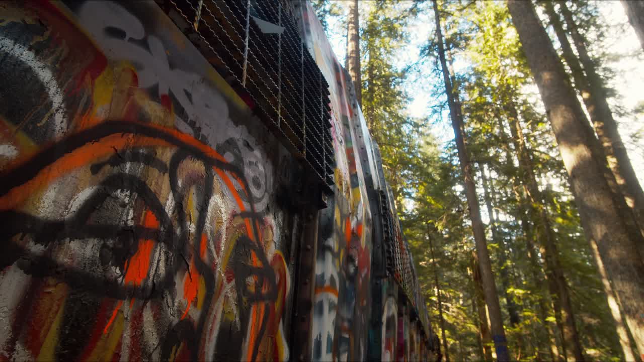 cámara lenta de los restos del tren abandonados en medio del bosque y cubiertos por graffiti y pinturas