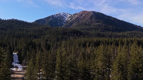 Smooth-motion-forward-shot-above-evergreen-forest-with-mountain-in-background-in-Cle-Elum-on-a-blue-sky-day-in-Washington-State