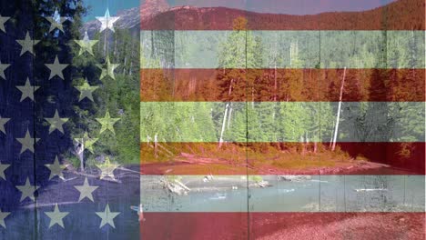 forest with mountains against american flag